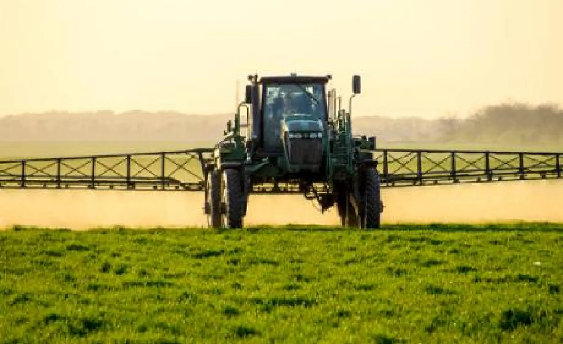 (Not a) Surprise: Glyphosate-based Herbicides are Bad for Your Mental Health