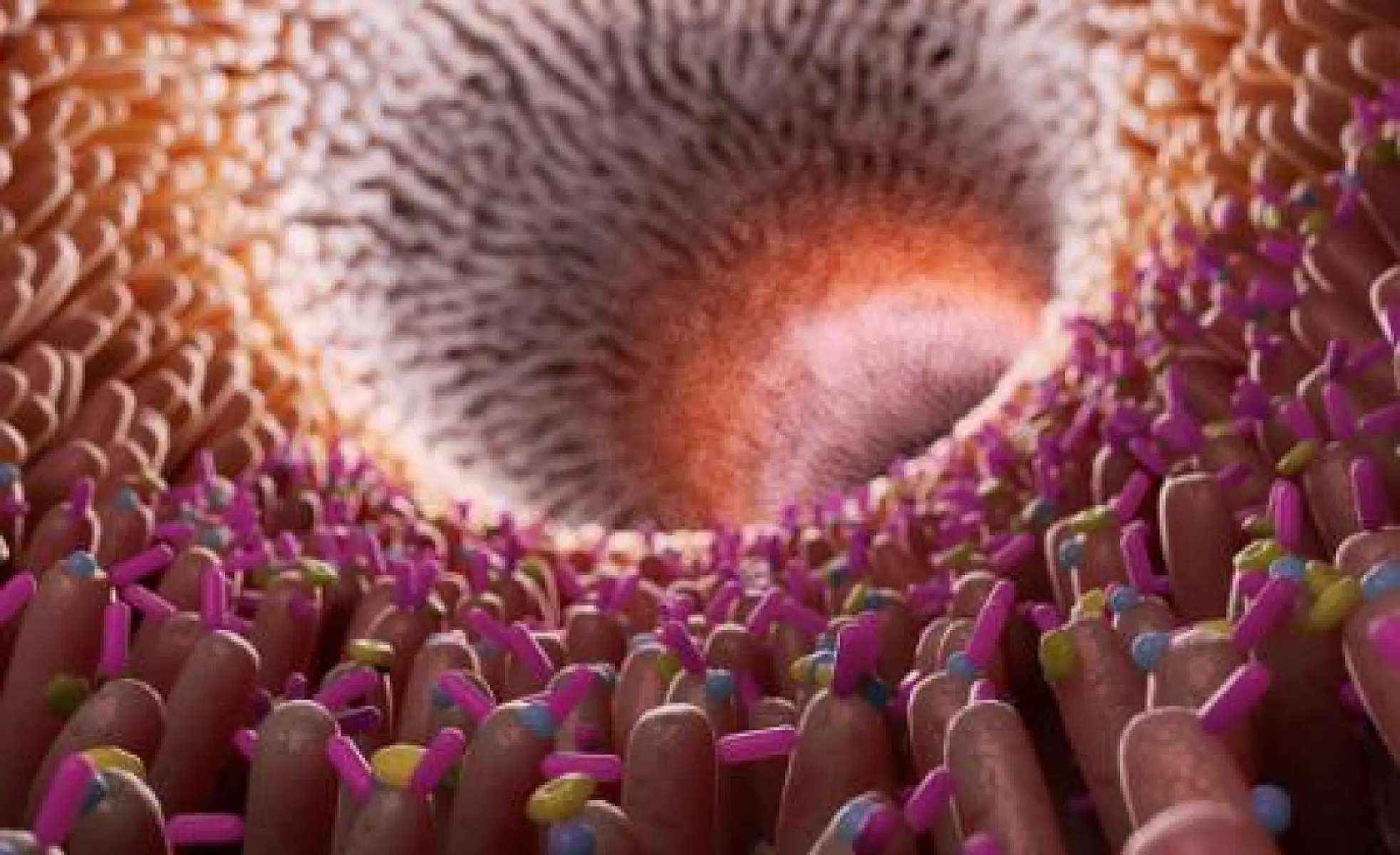 New Insights on Gut Permeability and Depression
