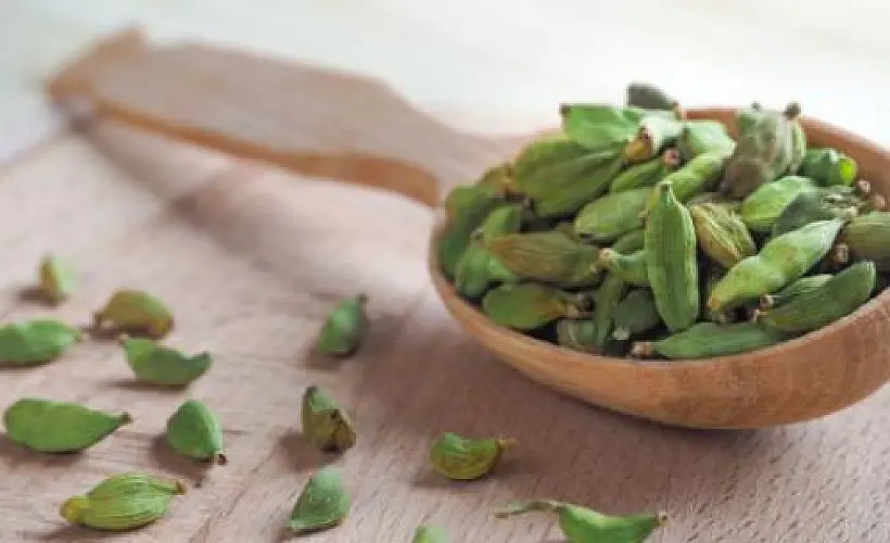 Five Benefits of Cardamom for the Health Conscious