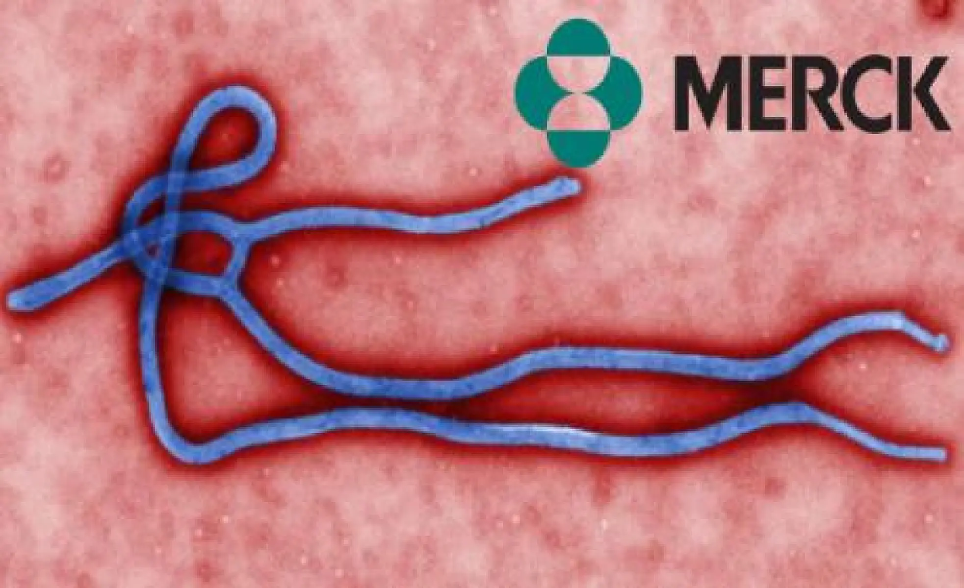 FDA Approves Merck's New Live Ebola Vaccine Which It Says Can Shed and Cause Immunosuppression