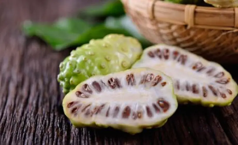 76 Evidence-Based Health Benefits of Noni