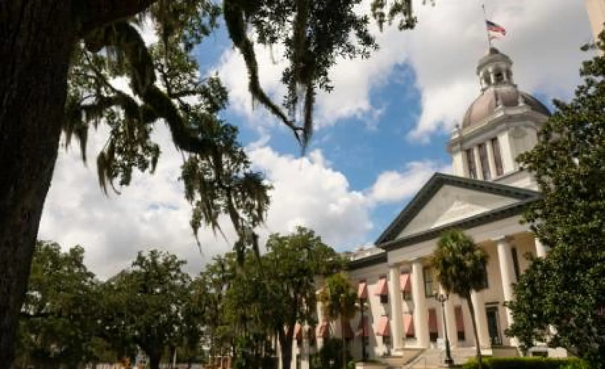 Please Stand for Your Rights in Florida Before Session Starts January 14