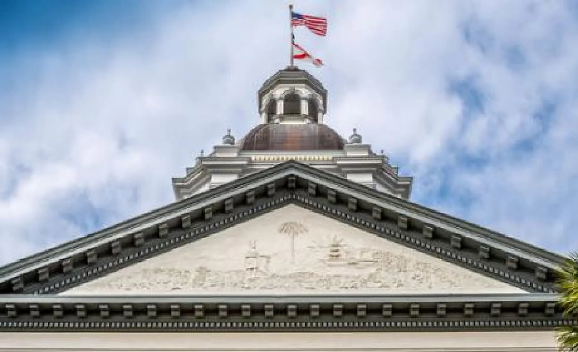 Contact Your State Representative and Senator to OPPOSE SB 64 and SB 674