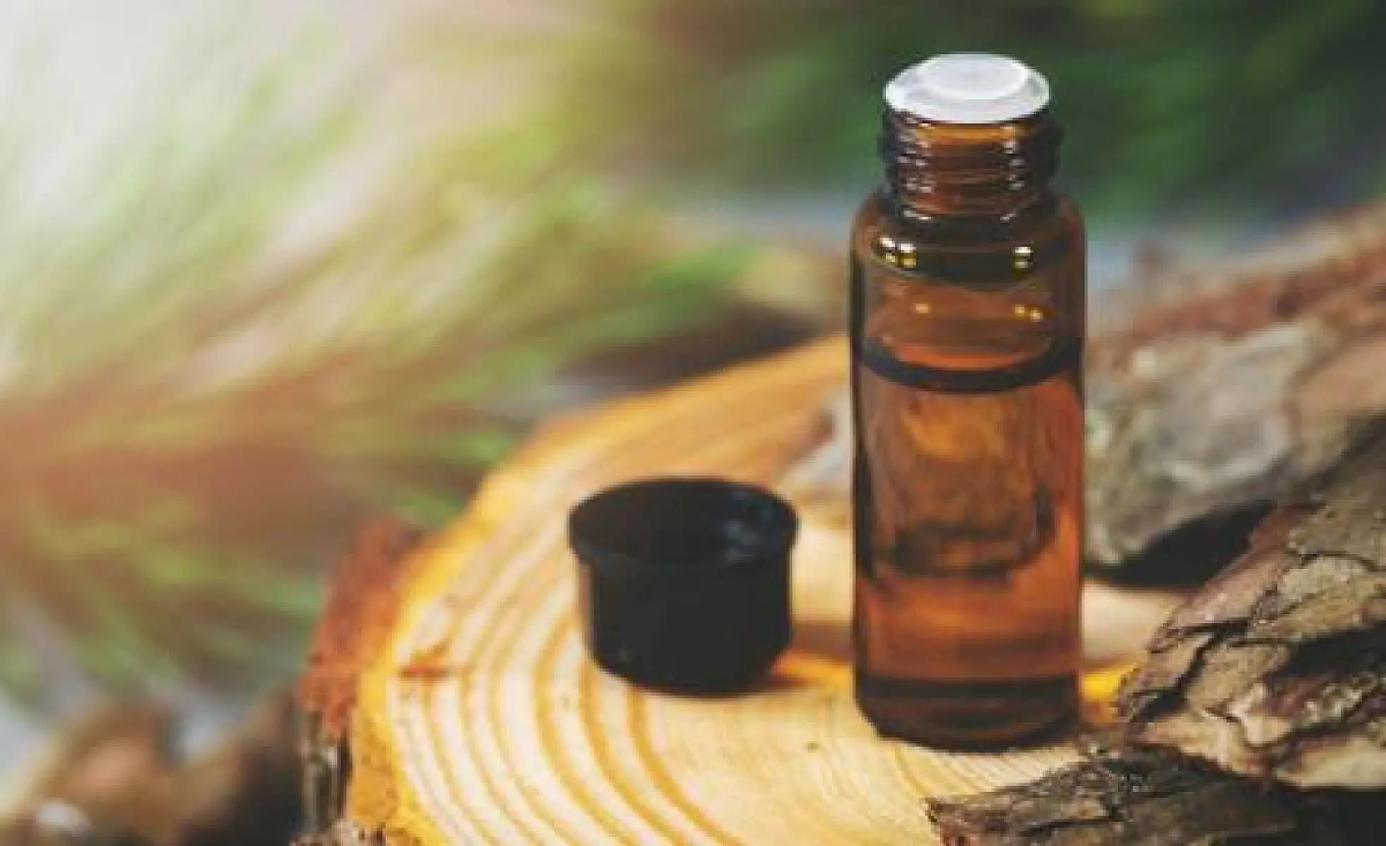 Pine Bark Extract May Solve Antidepressant-Induced Sexual Dysfunction