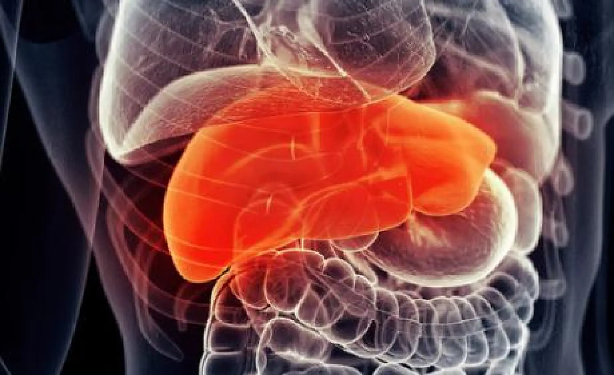 Why Detoxification is Important