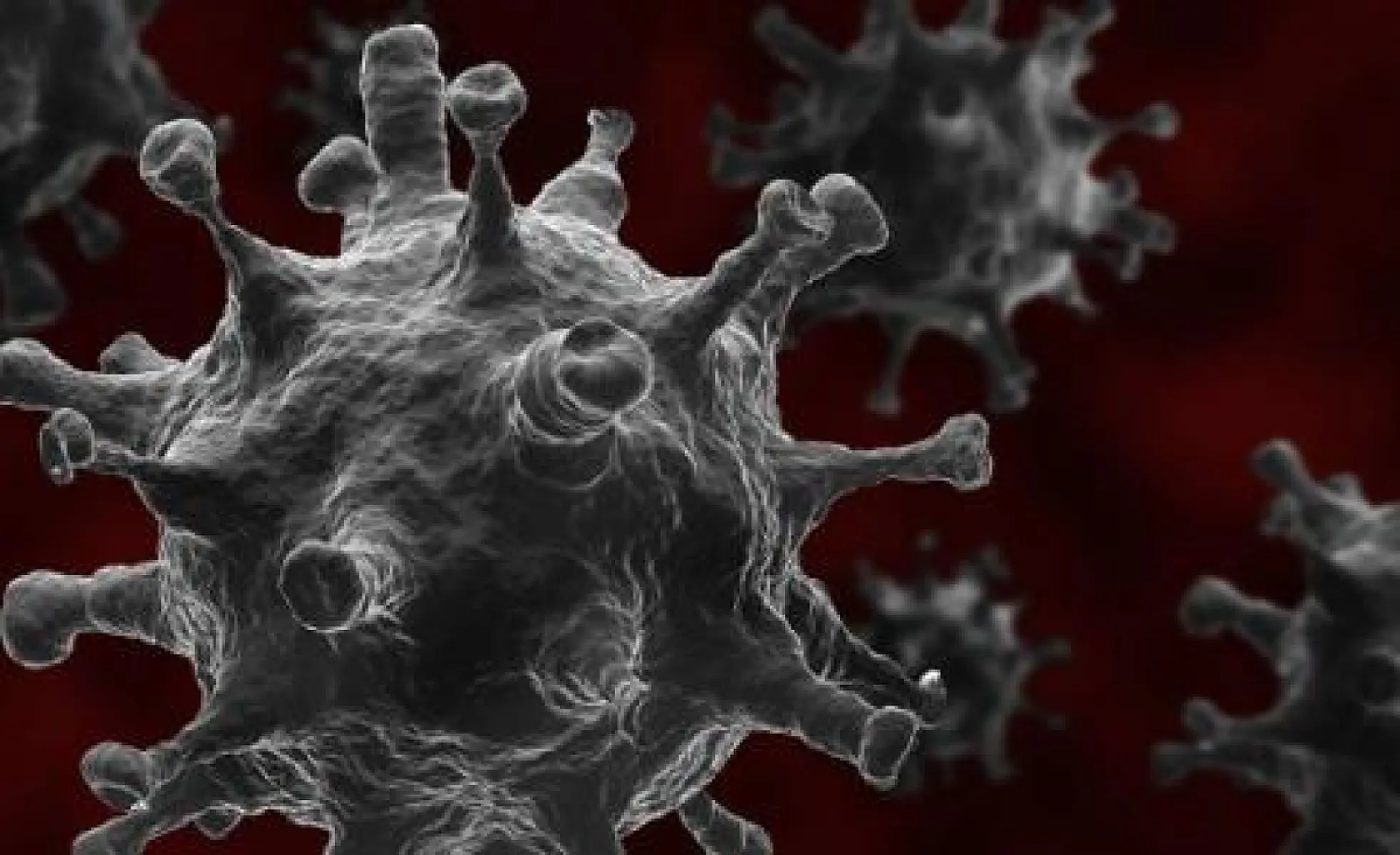 News Media Attacks Vitamin C Treatment of COVID-19 Coronavirus
