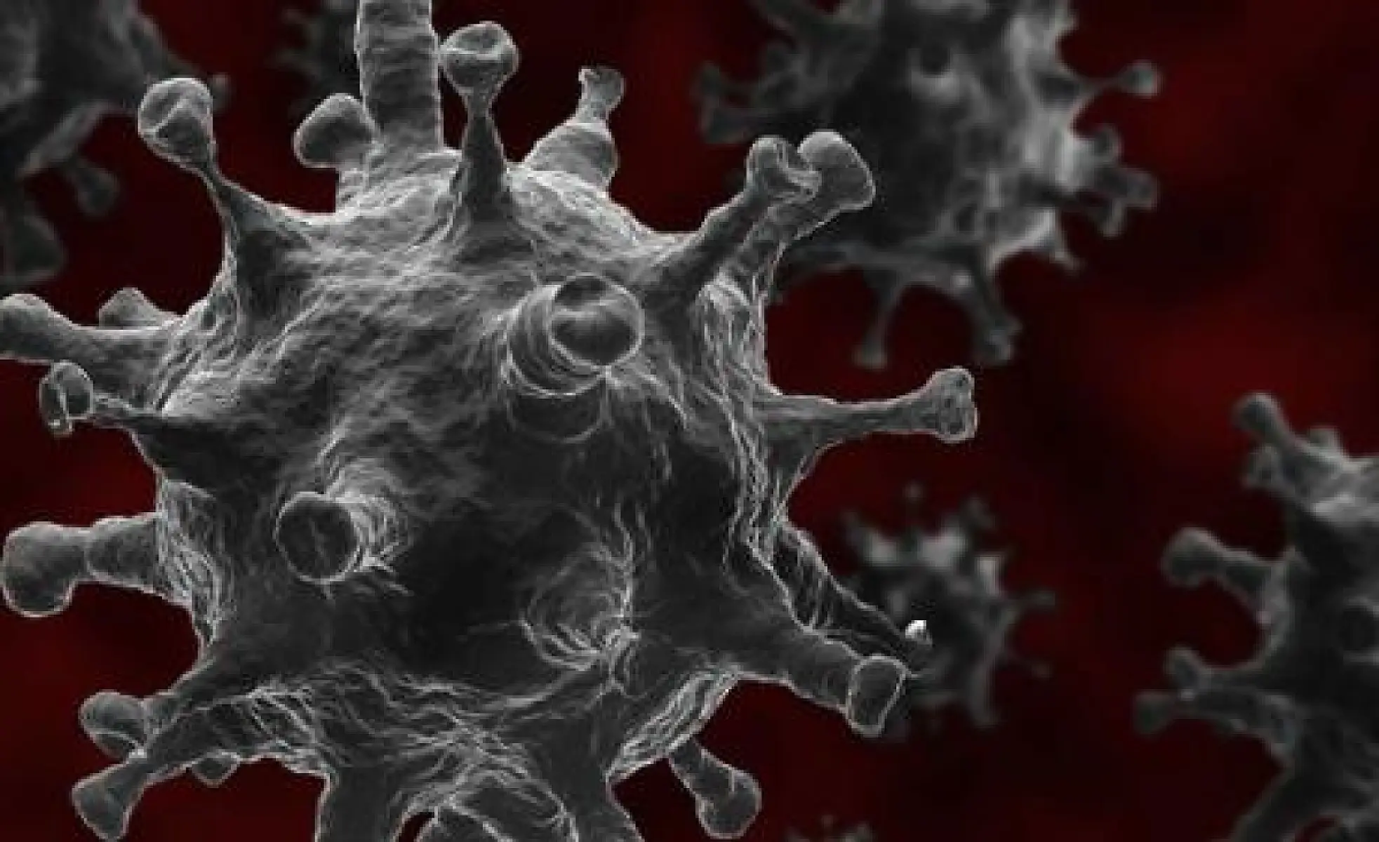 Bioweapons Expert Speaks Out About Novel Coronavirus
