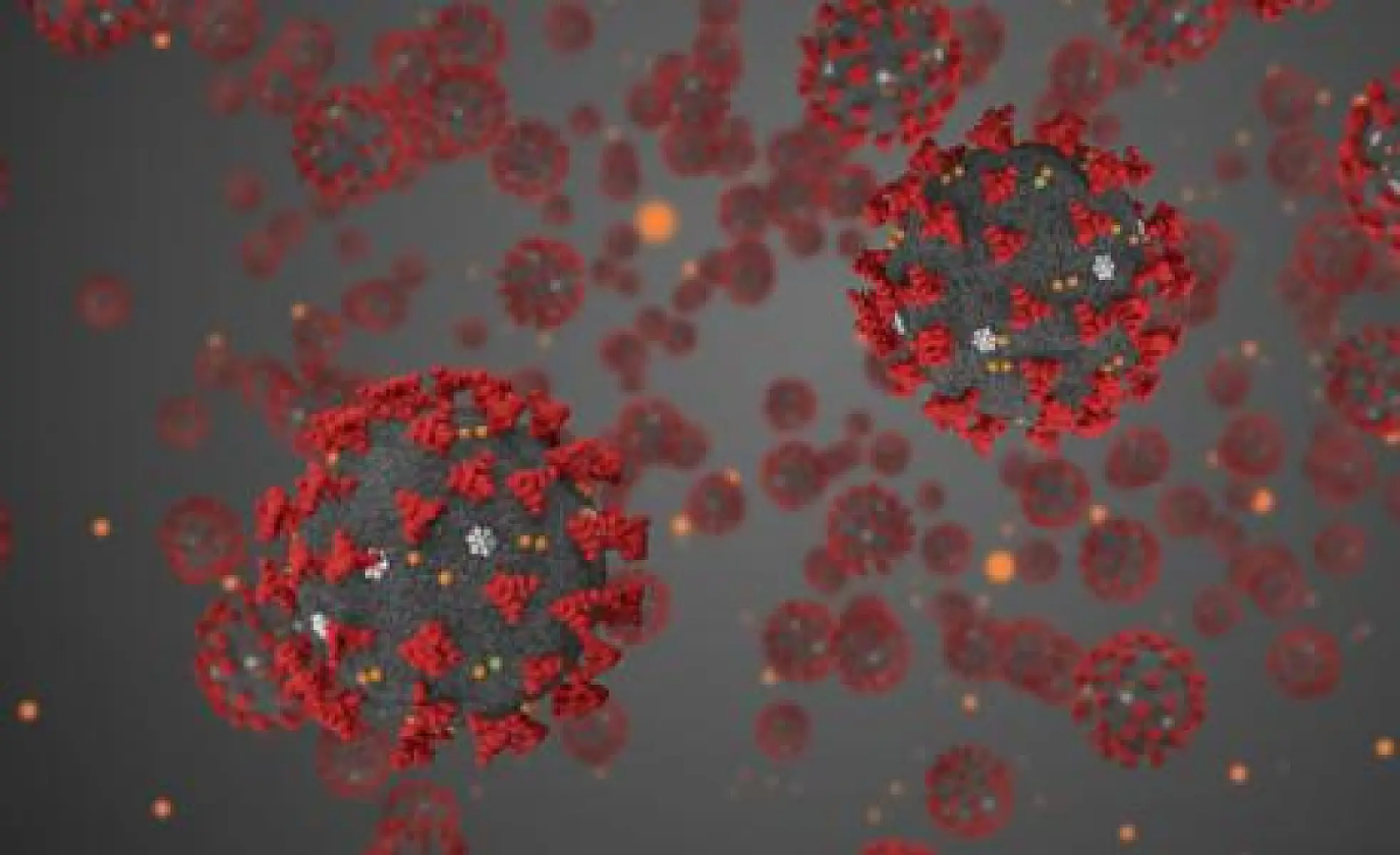 Coronavirus Death Rate Lower Than Thought