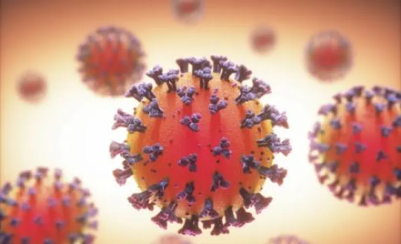 A Fiasco in the Making? As the Coronavirus Pandemic Takes Hold, We Are Making Decisions Without Reliable Data