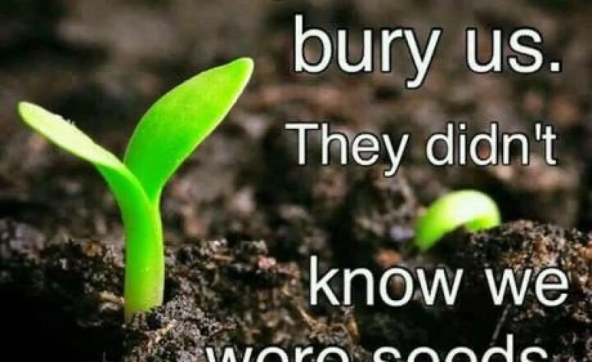 Coronavirus Update: They Tried To Bury Us...They Did Not Know We Were Seeds