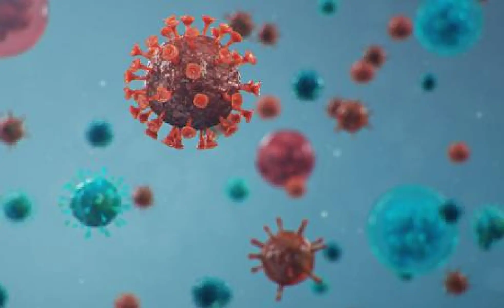 Rationale for Vitamin C Treatment of COVID-19 and Other Viruses
