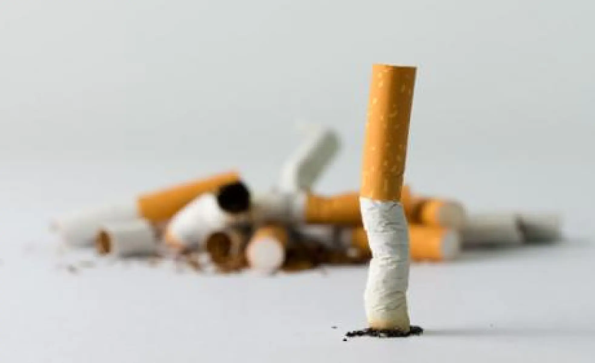 70 Natural Substances That Mitigate the Effects of Tobacco Smoke