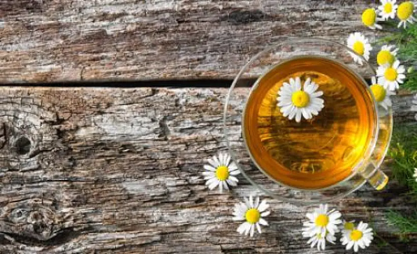Chamomile Oil for Carpal Tunnel Syndrome