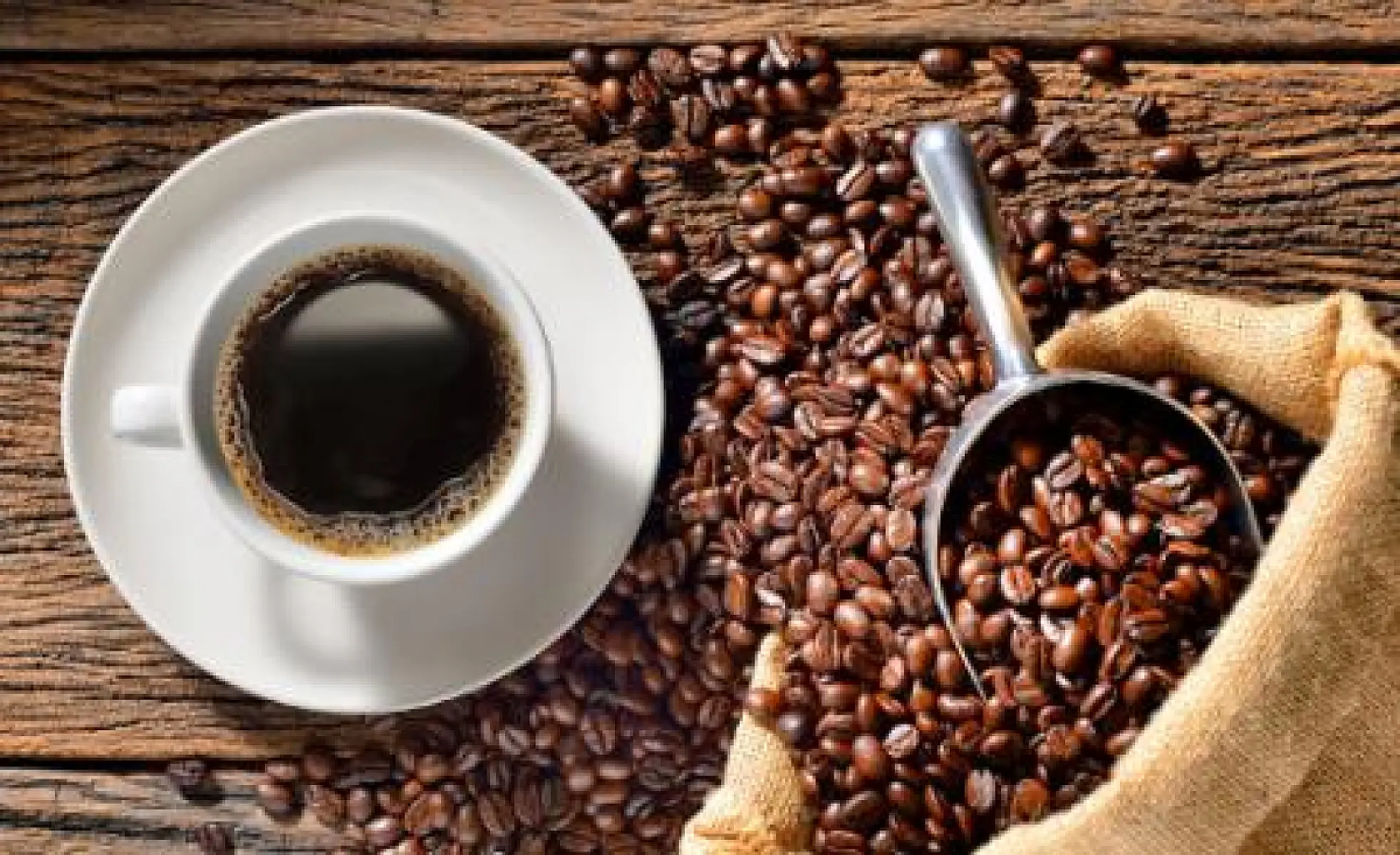 Benefits of Chlorogenic Acids Found in Coffee
