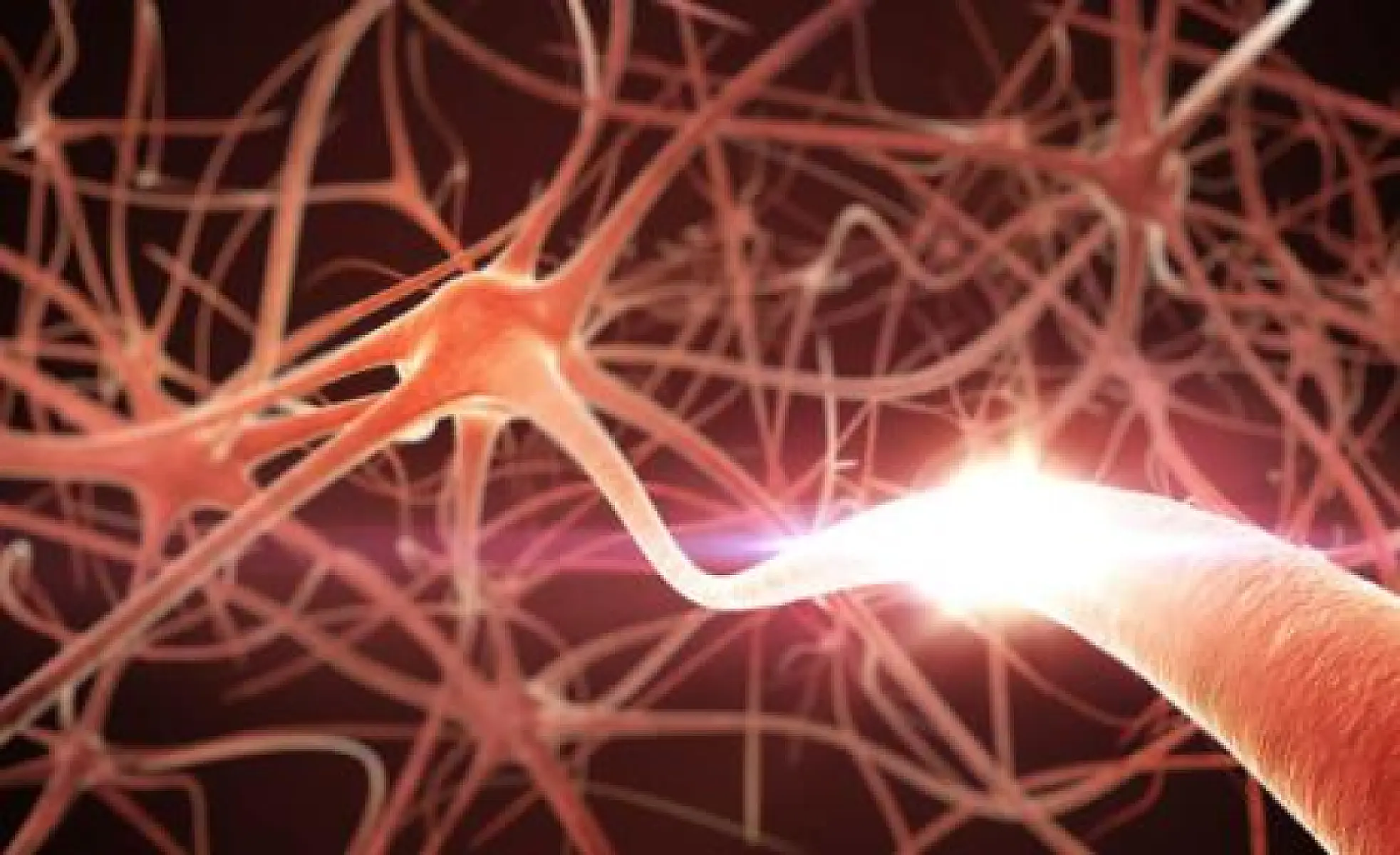 The Potential Benefits of Flavonoids in Treating Neurodegenerative Diseases