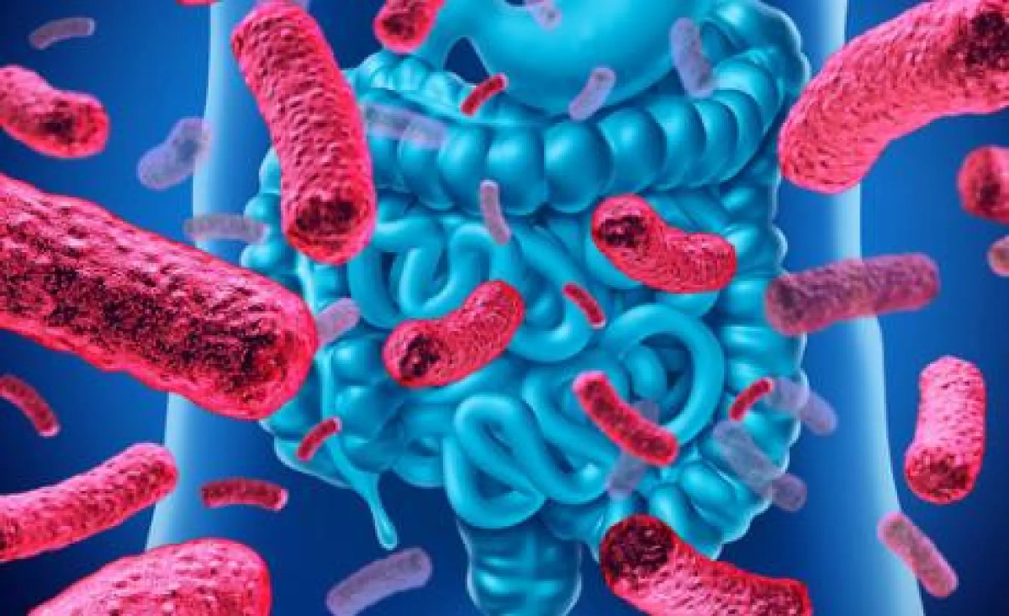 Gut Microbiome May Impact the Effectiveness of Flu Vaccine