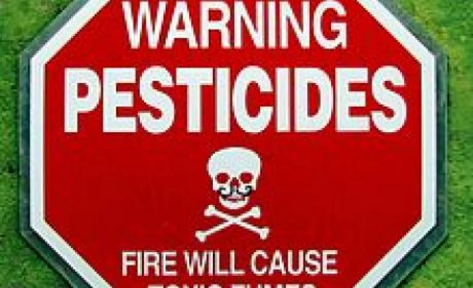 Is Monsanto's Herbicide Harming Male Fertility?