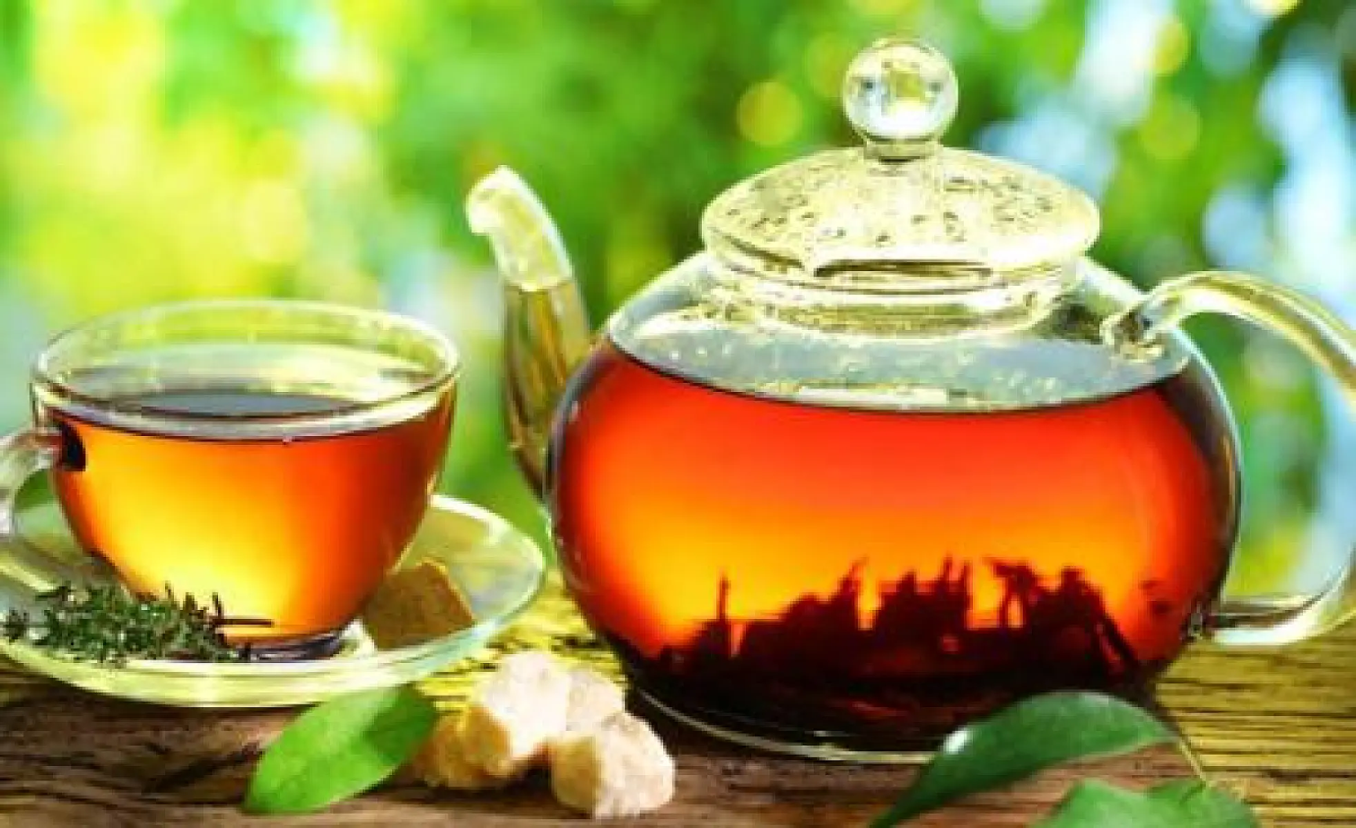 Drinking Tea Could Improve Brain Health and Slow Cognitive Decline