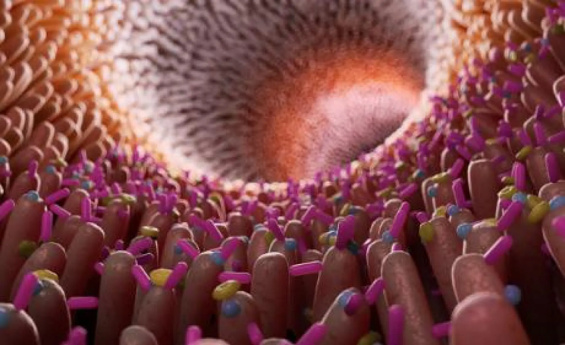 Gut Microbiome May Play a Role in the Development of Autism in Children