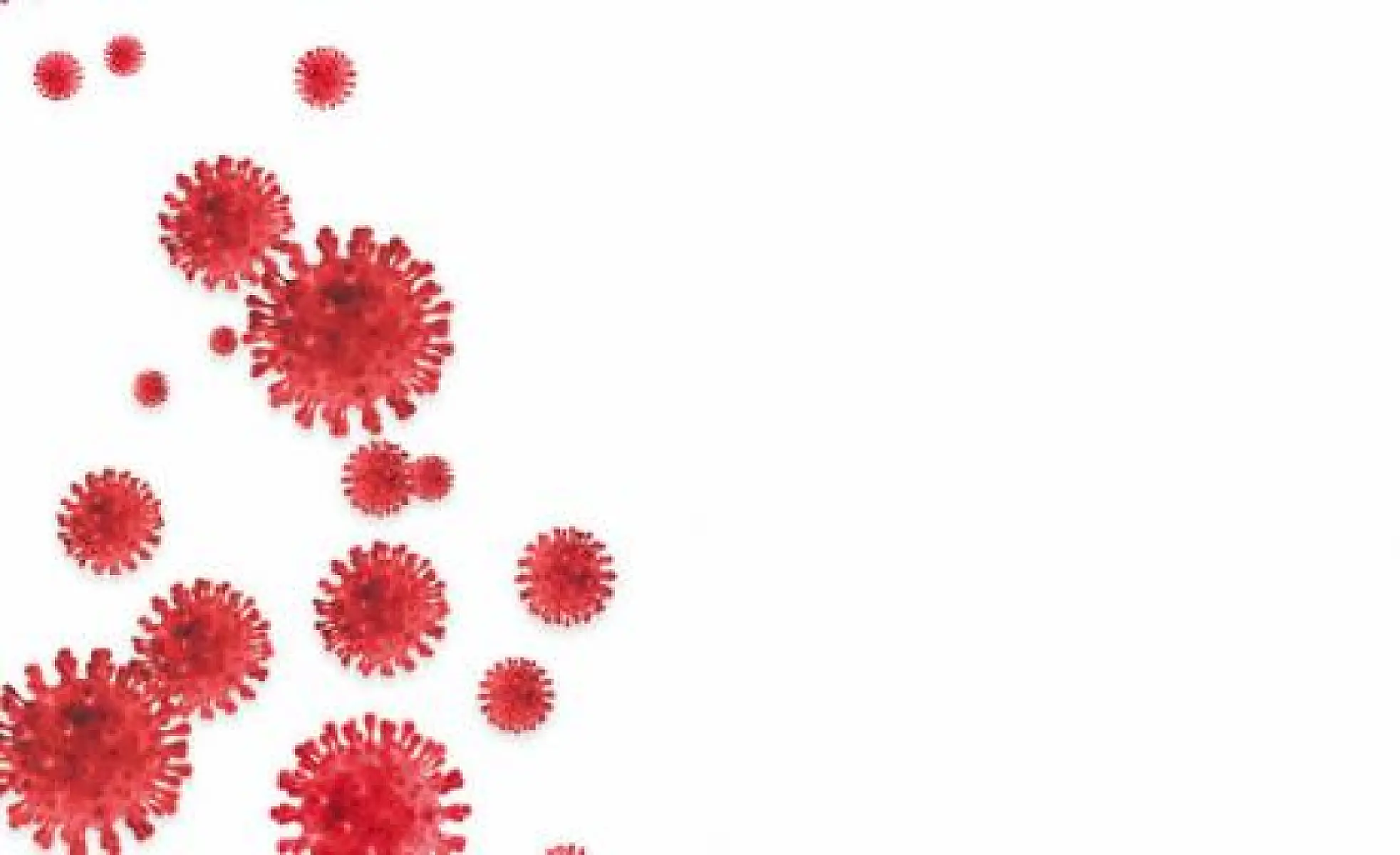 Top Five Natural Antiviral Agents