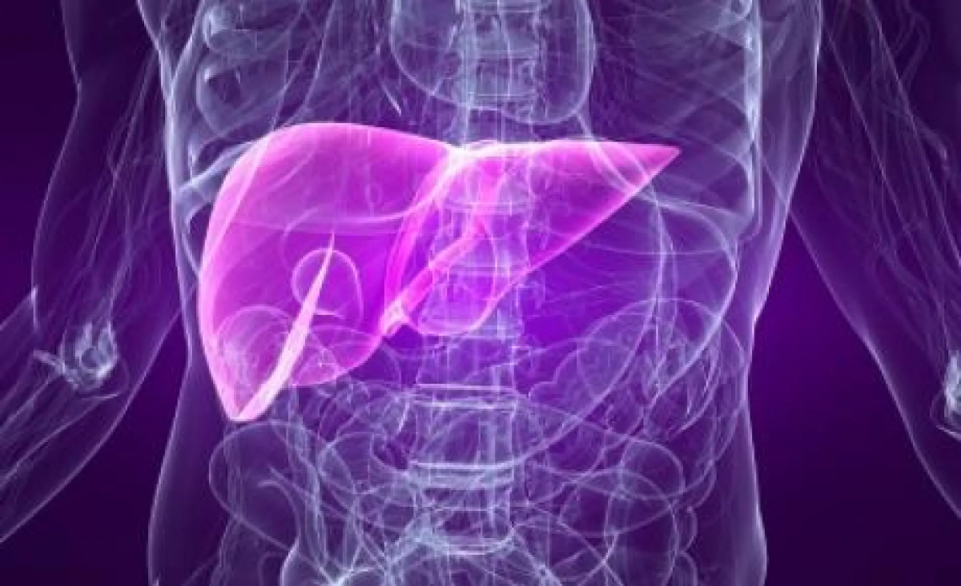 Turmeric May Repair and Regenerate Diabetic Liver Function