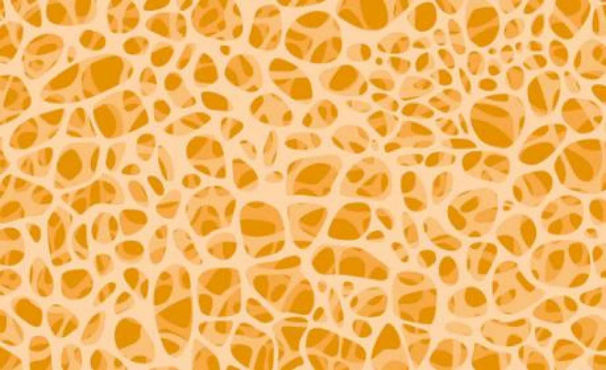 Three Strategies to Prevent Osteoporosis and Build Strong Bones