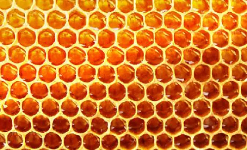 Honey for the Heart: Cardiovascular Benefits for Postmenopausal Women