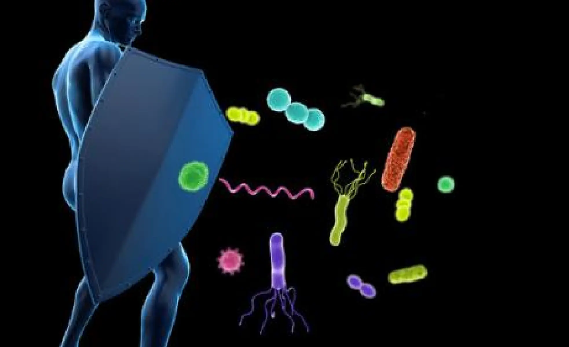 Seven Best Foods and Supplements to Enhance Your Immune System