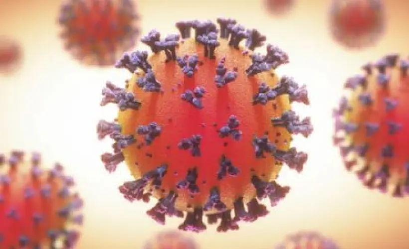 Op-Ed: "No One Has Died From the Coronavirus"