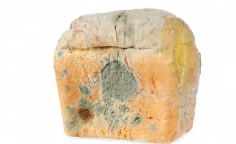 Wheat: 200 Clinically Confirmed Reasons Not To Eat It