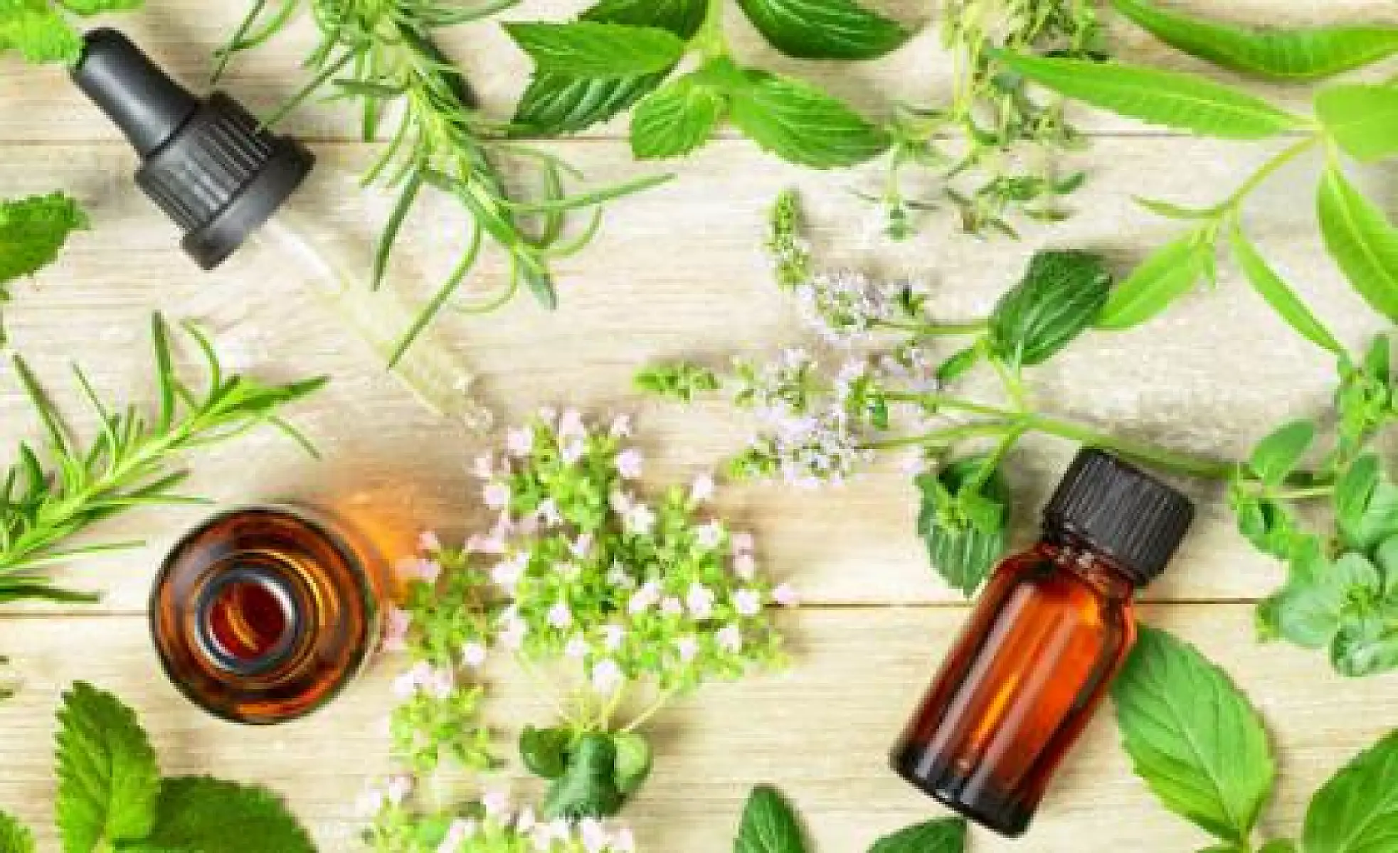 Best Essential Oils to Reduce Stress