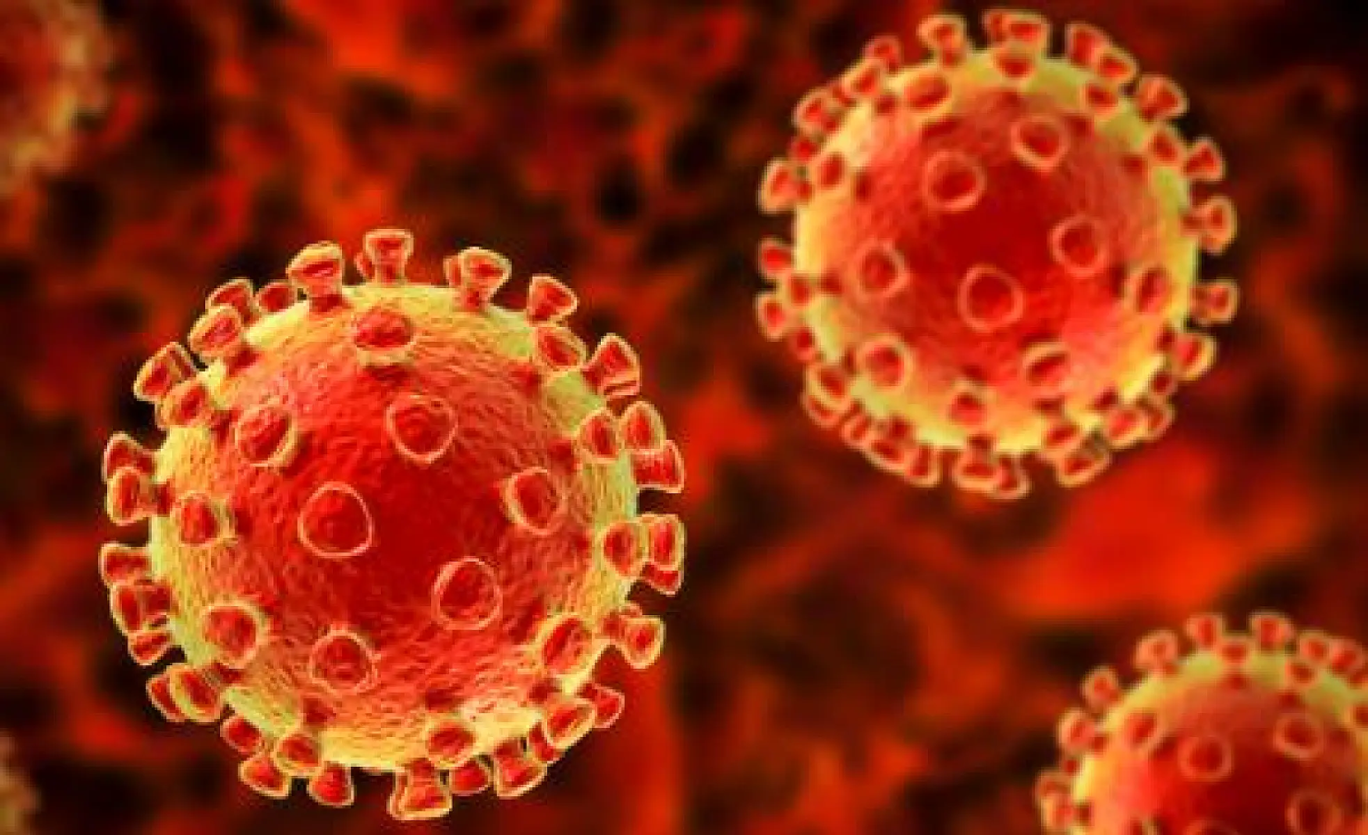 WHO Admits: No Direct Evidence Masks Prevent Viral Infection
