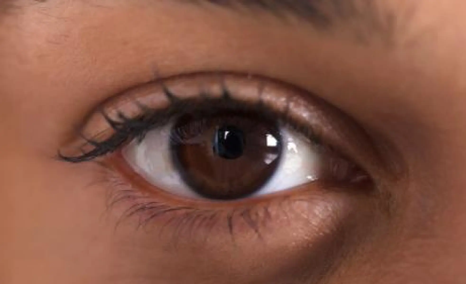 5 Top Foods for Eye Health