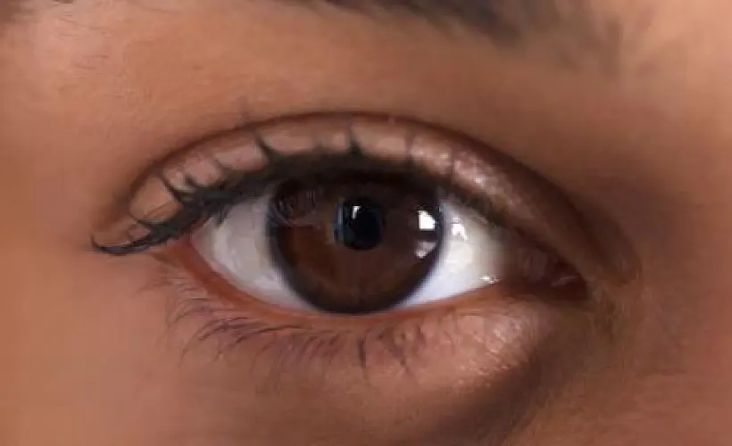 5 Top Foods for Eye Health