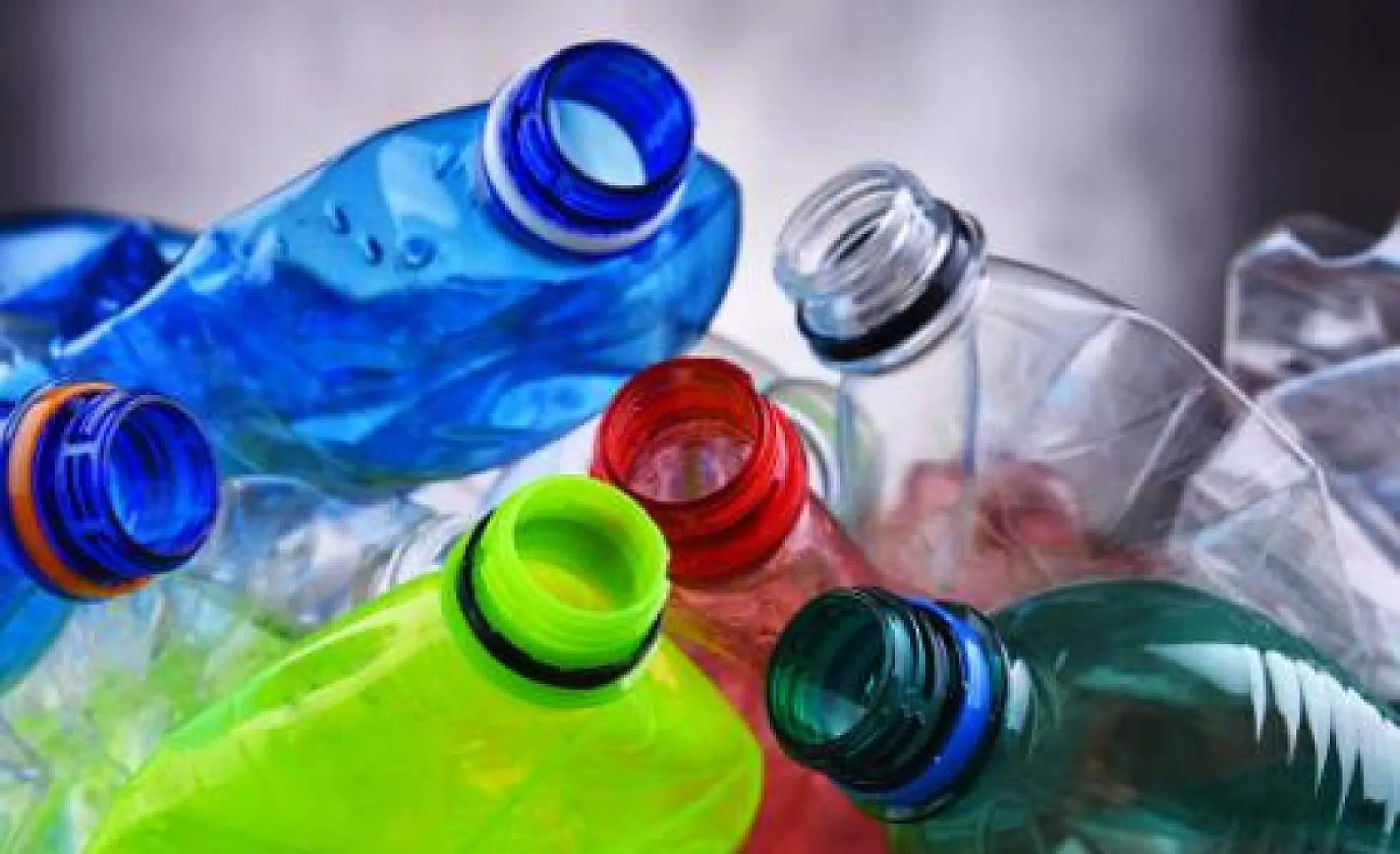 More Reasons to Avoid BPA and BPS in Plastic