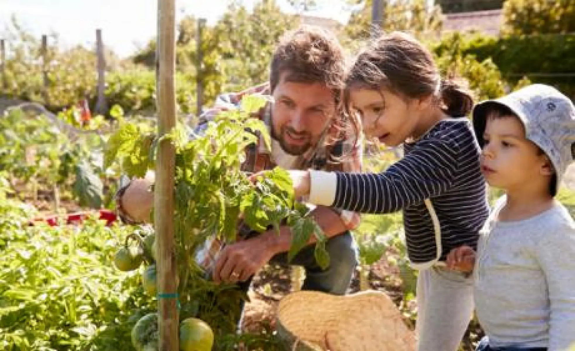 Food Bill in New Zealand Takes Away Human Right to Grow Food