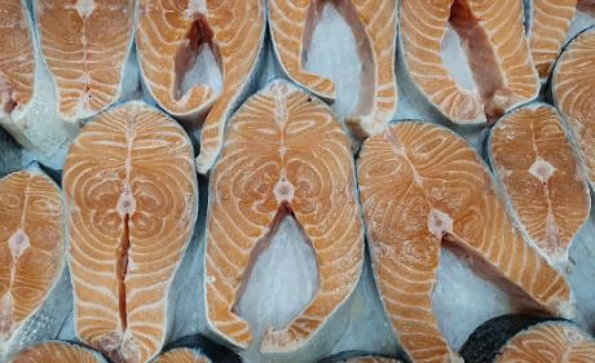 US Federal Court Rules FDA Approval of GMO Salmon Unlawful