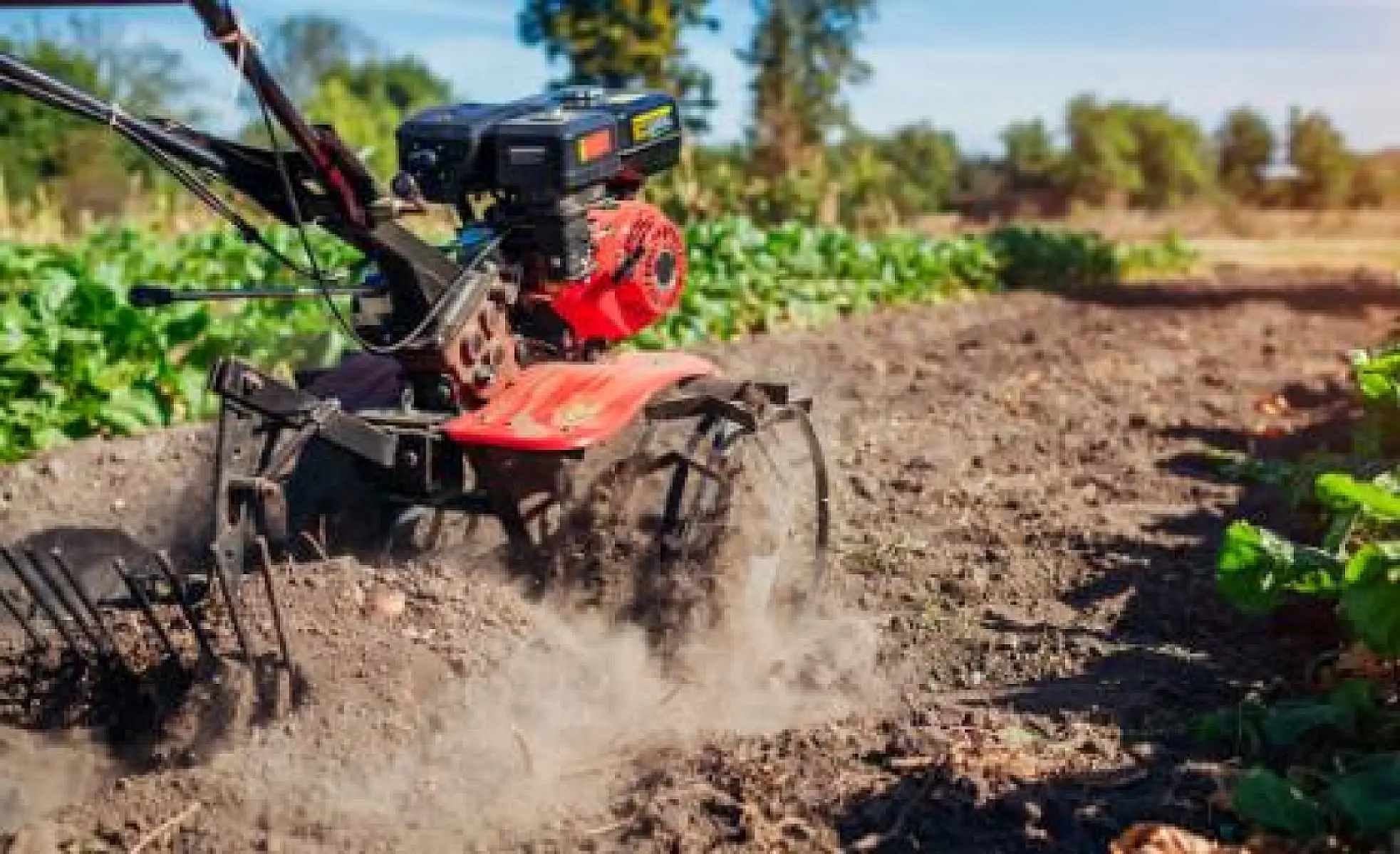 The Biosecurity Myth That is Destroying Small Farming