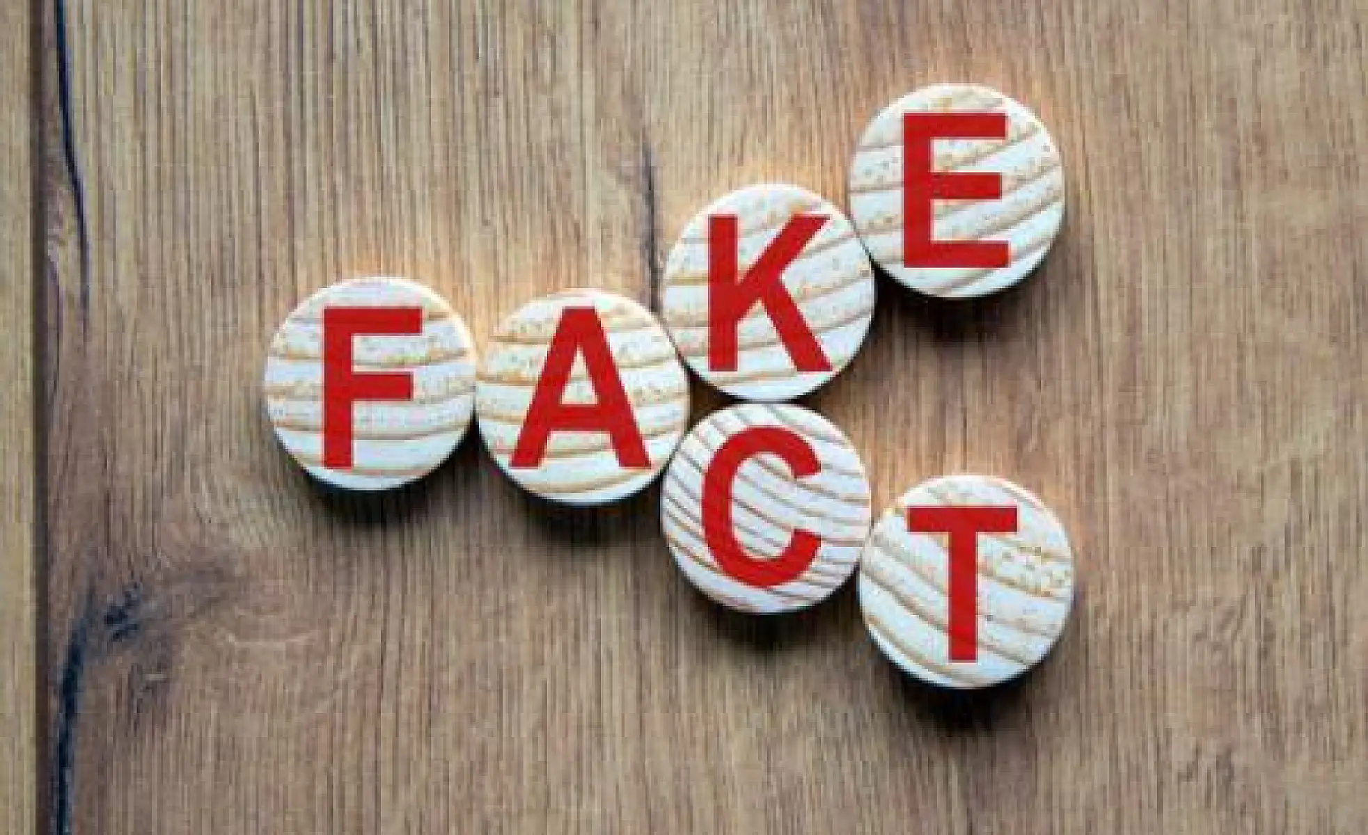 Who Funds Facebook Fact Checkers?