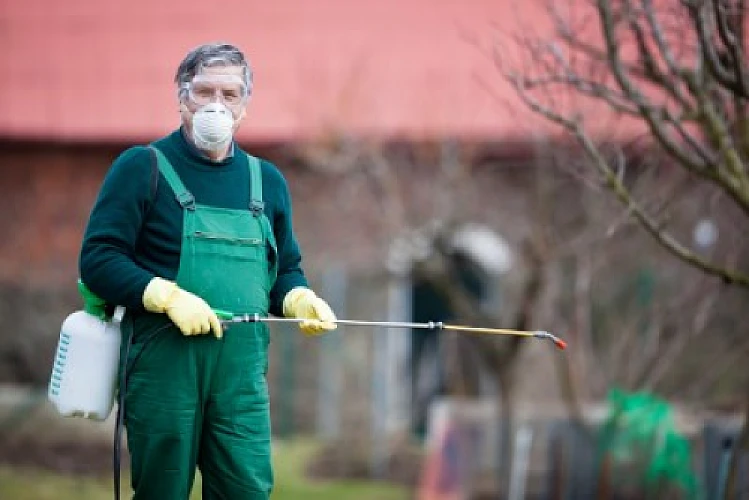 Research: Roundup Herbicide Toxicity Vastly Underestimated