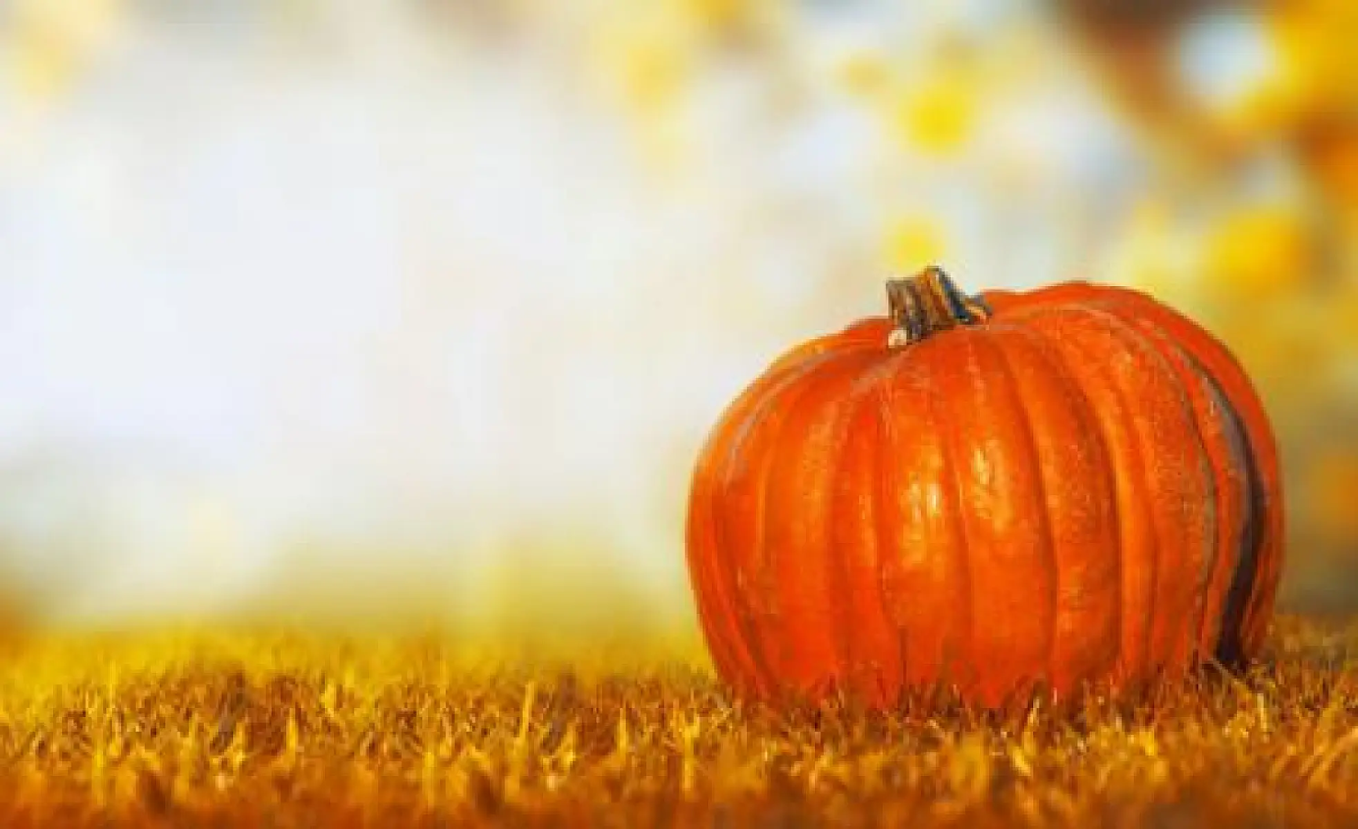 Four Top Health Benefits of Pumpkin
