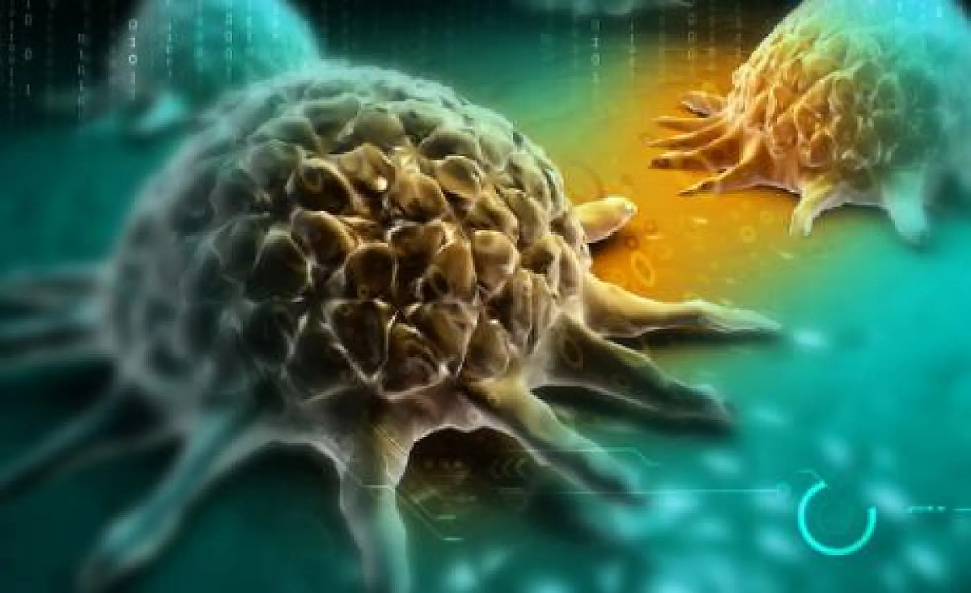 When Cancer Spontaneously Disappears