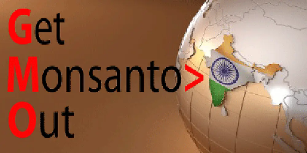 India Signals It Is Rearing To Kick Monsanto Out!