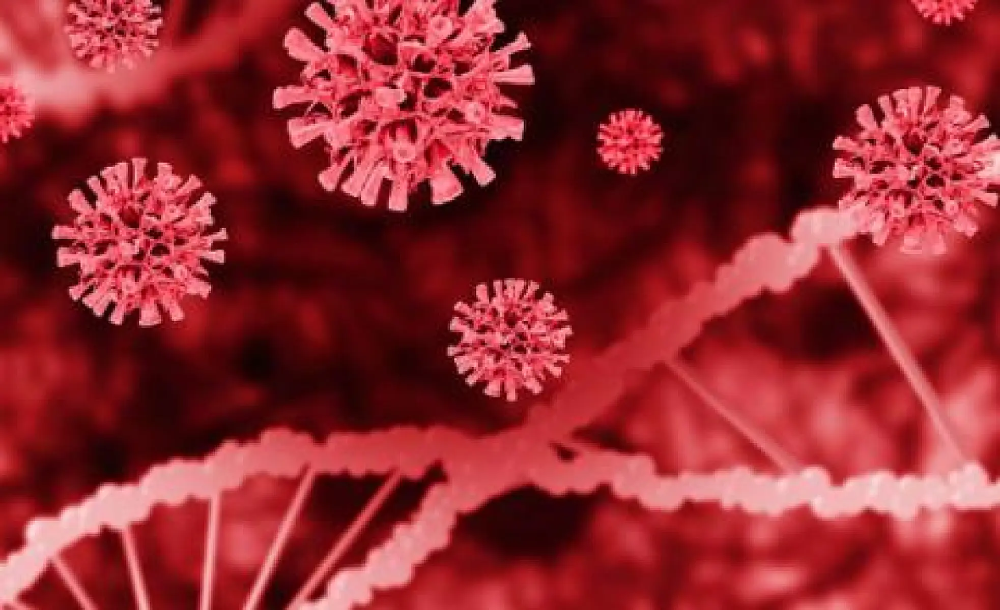 The Scam Has Been Confirmed: PCR Does Not Detect SARS-CoV-2