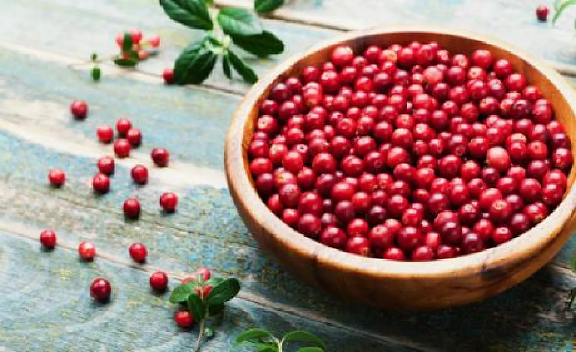 Five Reasons to Eat More Cranberries
