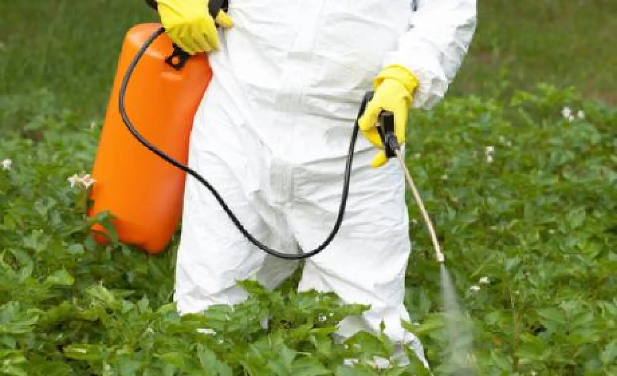 Bayer Admit Defeat in Groundbreaking Roundup Cancer Case as Ongoing Liability Deal Challenged