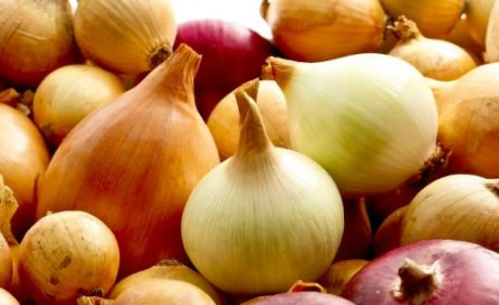 Five Reasons to Eat More Onions