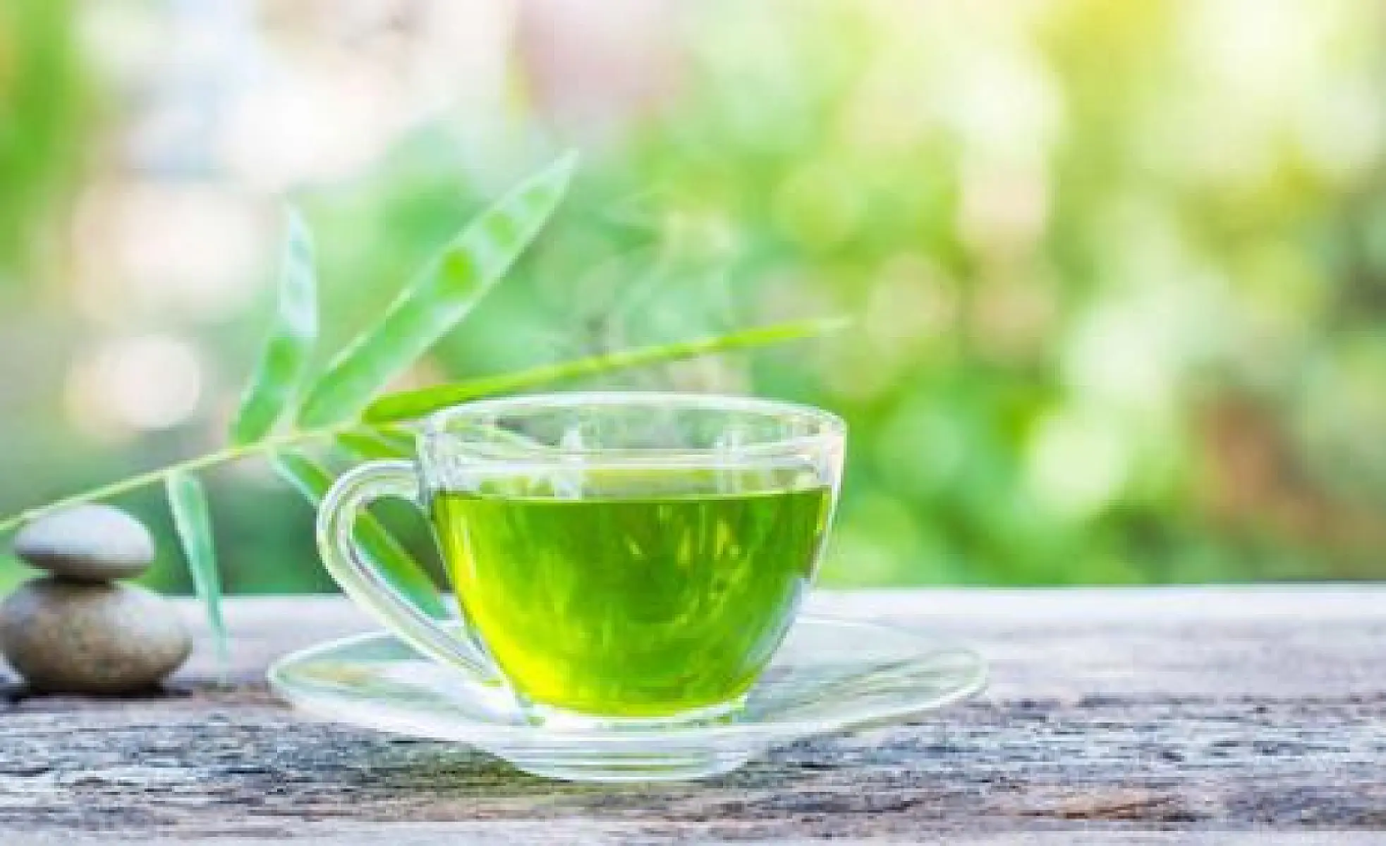 400 Reasons to Consume Green Tea