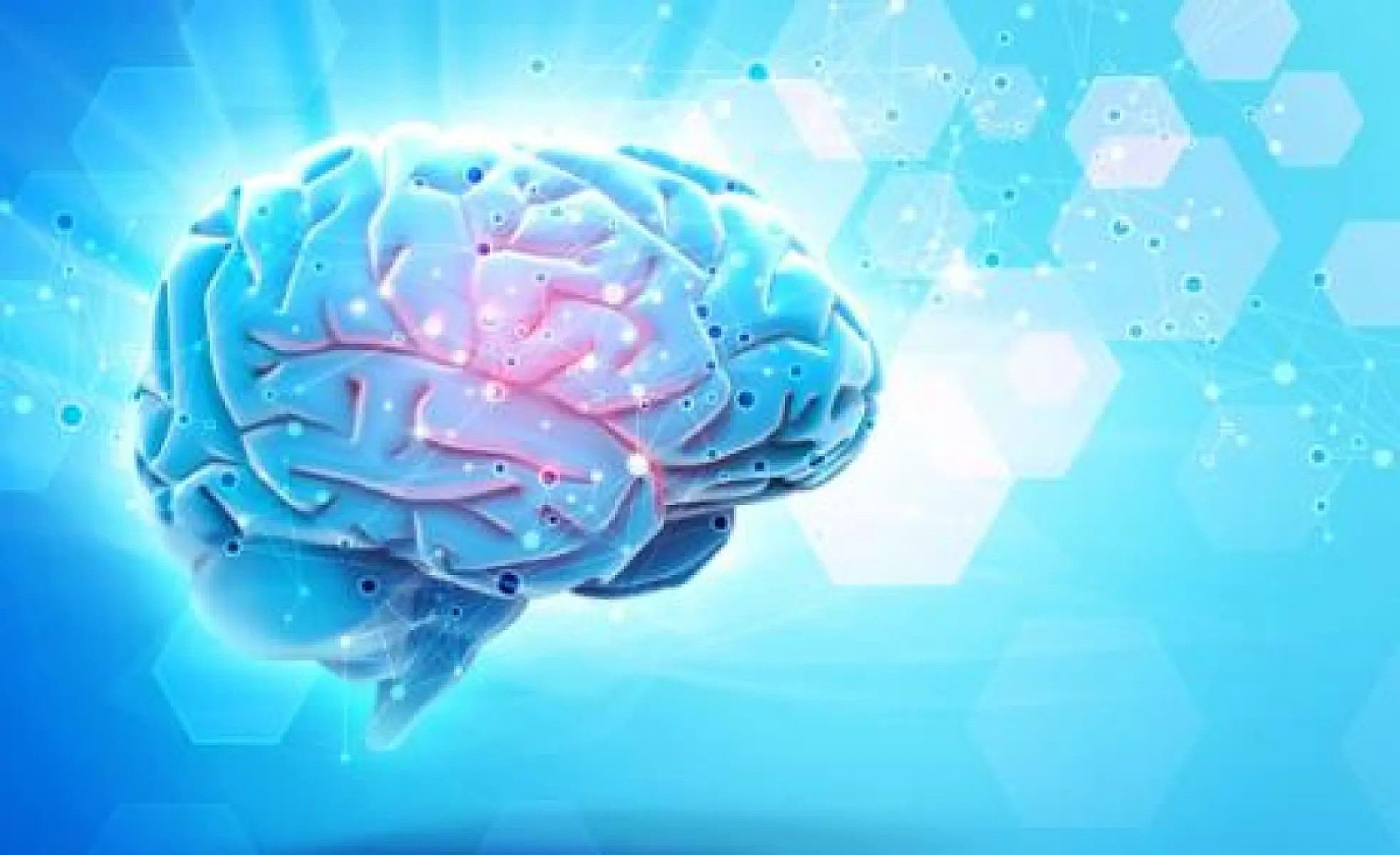Protect Your Brain With These Top Six Substances