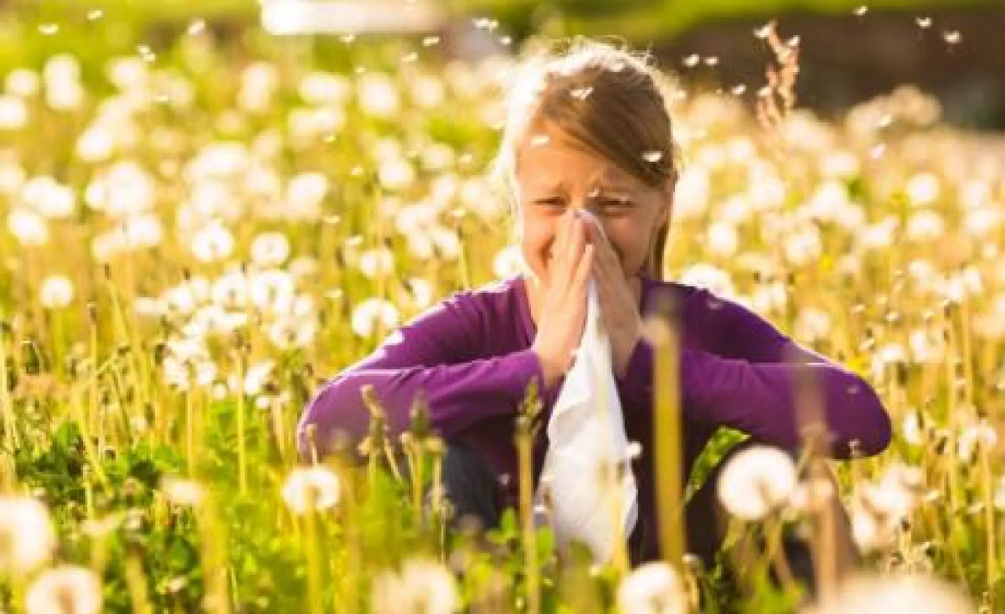 Seasonal Allergies? These 6 Foods May Help